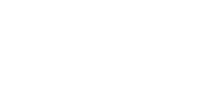 Sanaullah Logo